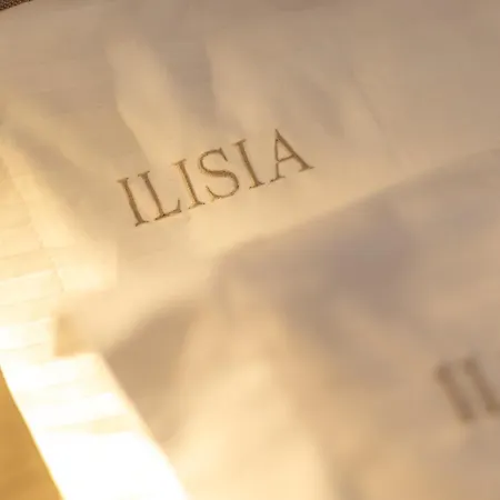 Apartment Ilisia *