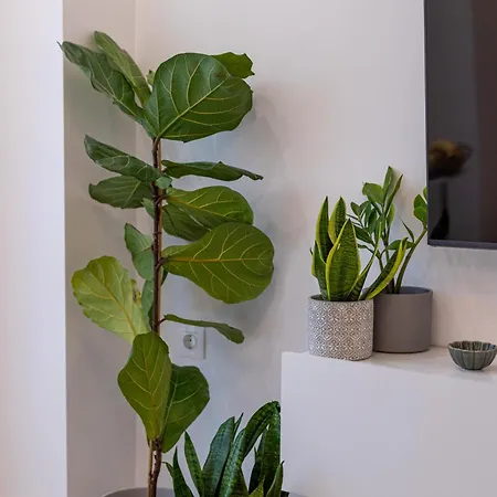 Ilisia Apartment *